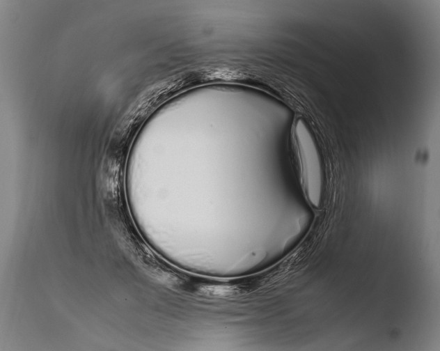 X0000108480503200904241303