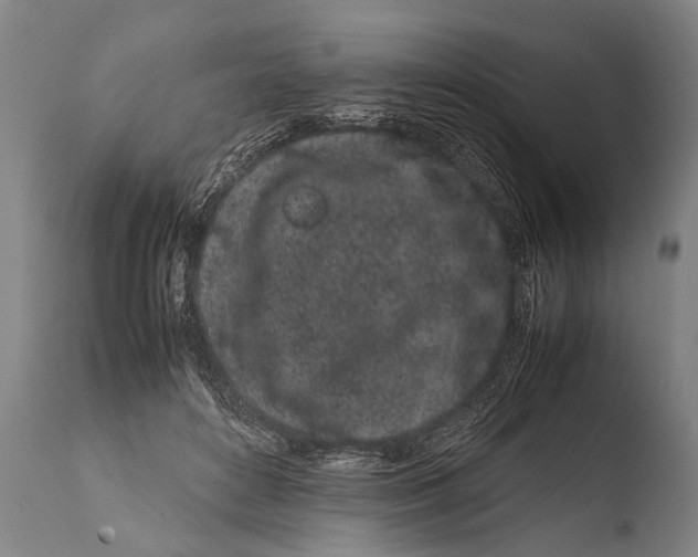 X0000108480504200904241303