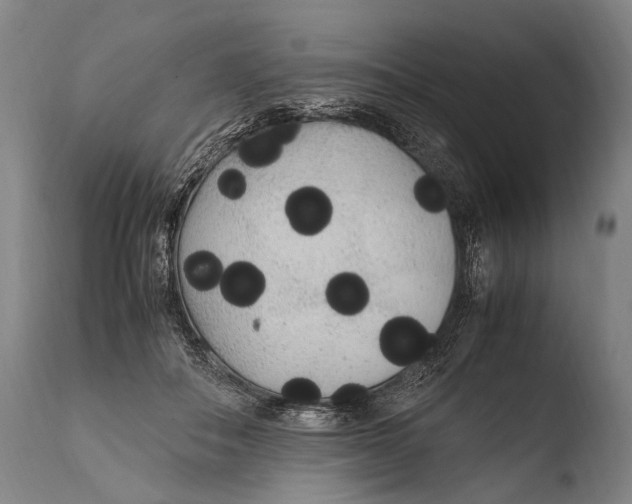 X0000108480506200904241303