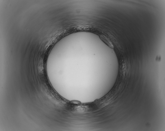 X0000108480508200904241303