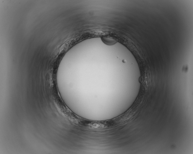 X0000108480512200904241303