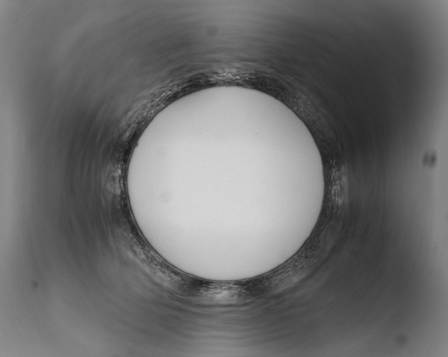 X0000108480514200904241303