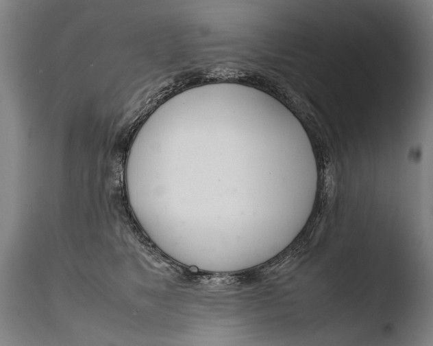 X0000108480517200904241303