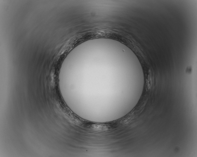X0000108480520200904241303