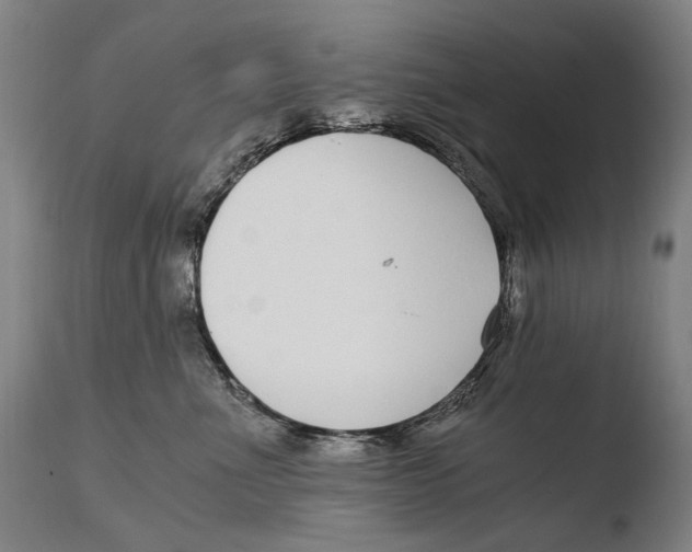 X0000108480523200904241303