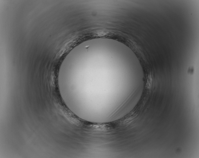 X0000108480524200904241303