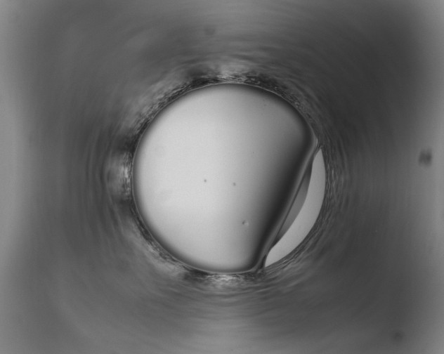 X0000108480527200904241303