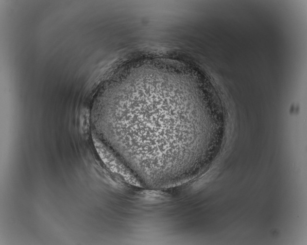 X0000108480528200904241303