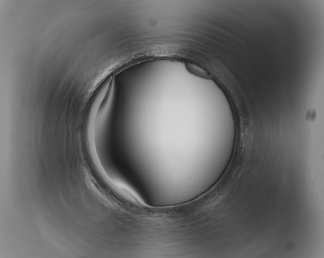 X0000108480530200904241302