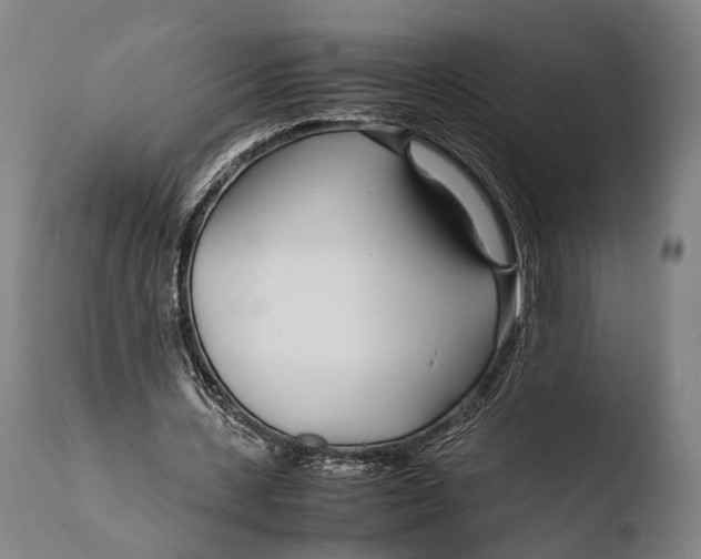 X0000108480531200904241302
