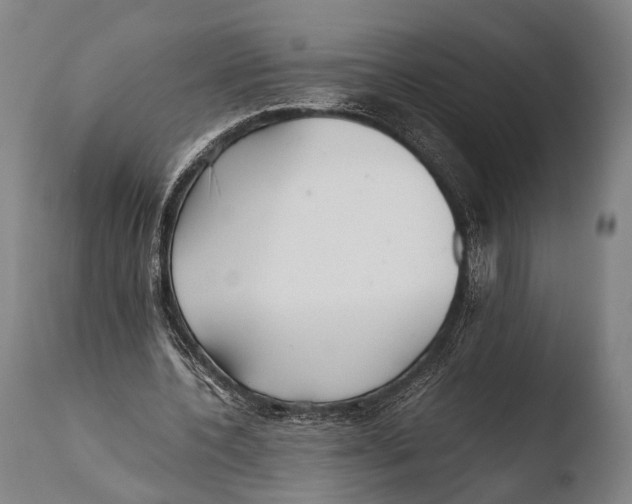 X0000108480532200904241302