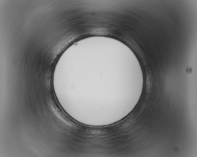 X0000108480533200904241302