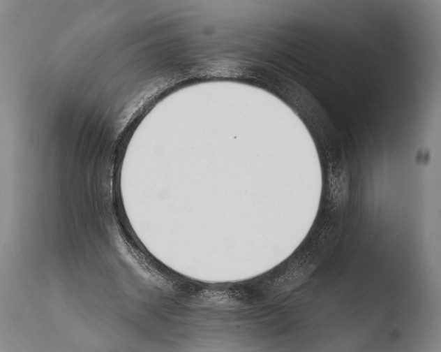 X0000108480534200904241302
