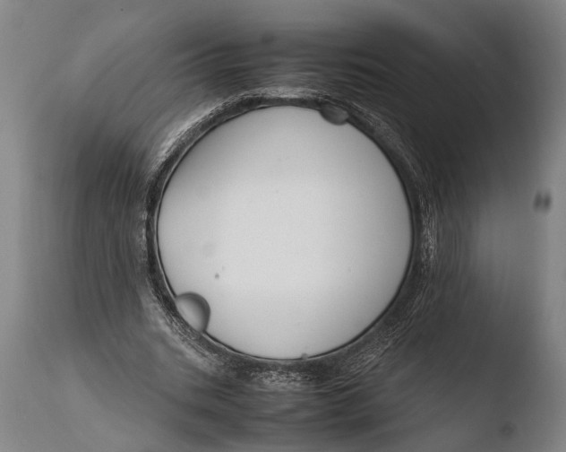 X0000108480535200904241302