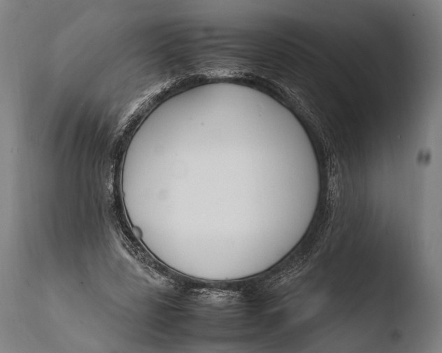 X0000108480539200904241303