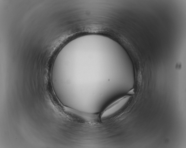 X0000108480540200904241303