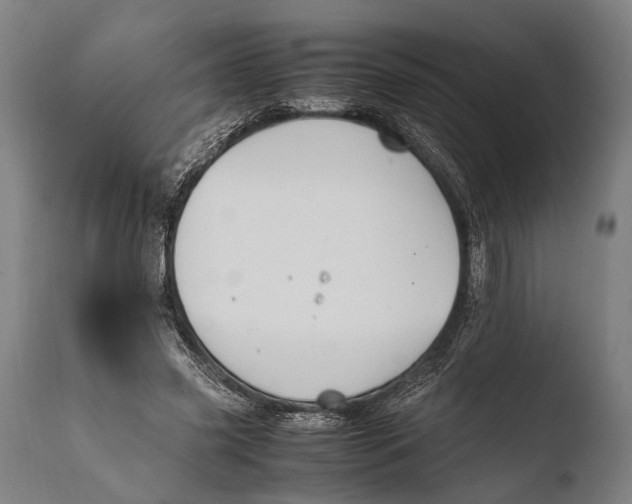 X0000108480541200904241303