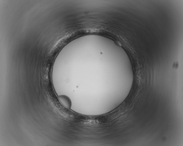 X0000108480543200904241303