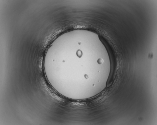 X0000108480545200904241303