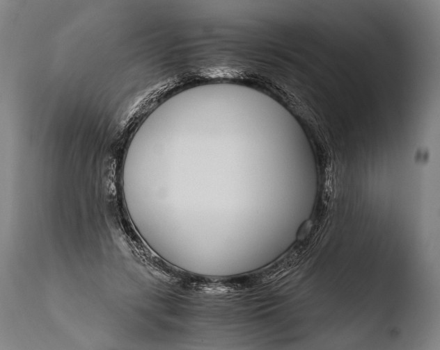 X0000108480547200904241303