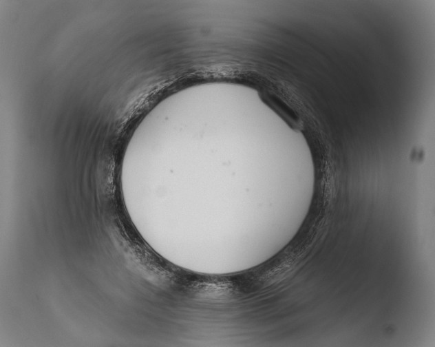 X0000108480548200904241303