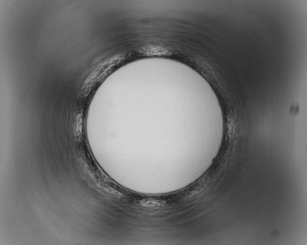 X0000108480549200904241303