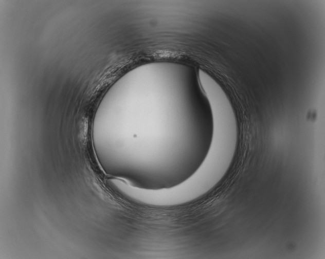 X0000108480550200904241303
