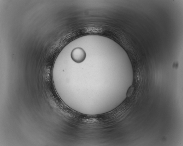X0000108480551200904241303