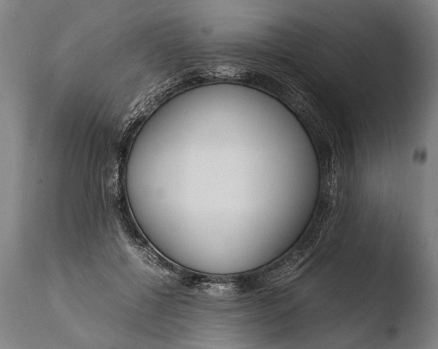 X0000108480552200904241303