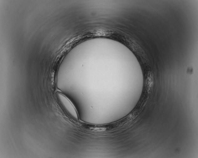 X0000108480554200904241303