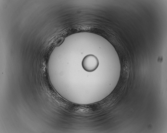X0000108480555200904241303