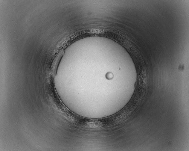 X0000108480556200904241303