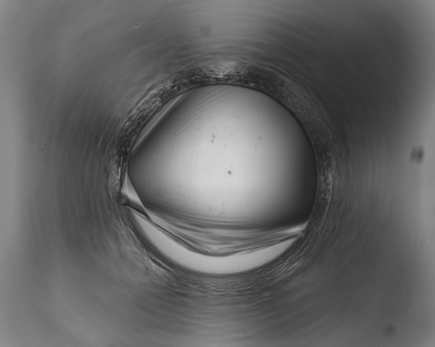 X0000108480558200904241303