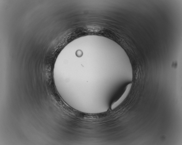 X0000108480559200904241303
