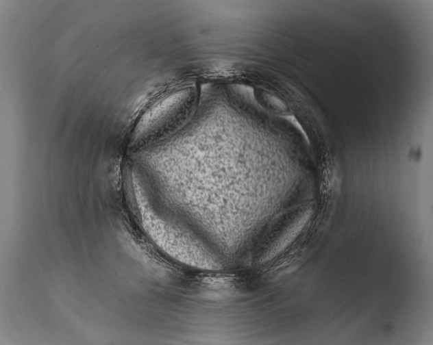X0000108480560200904241303