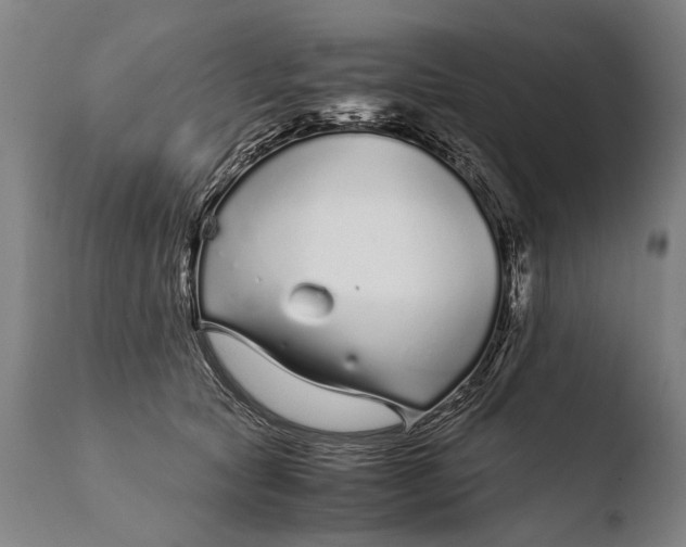 X0000108480561200904241303