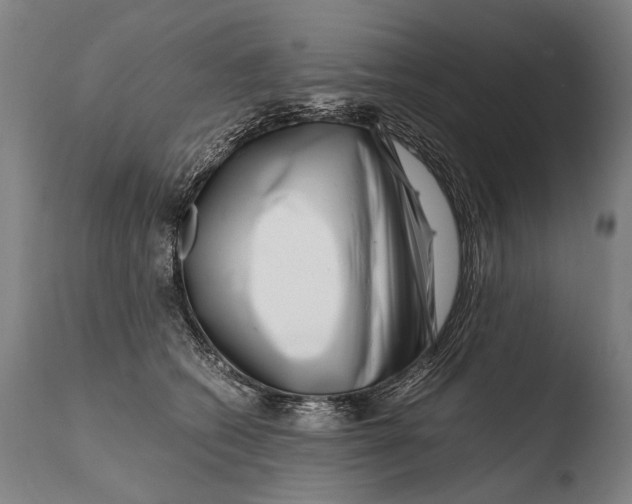 X0000108480562200904241303