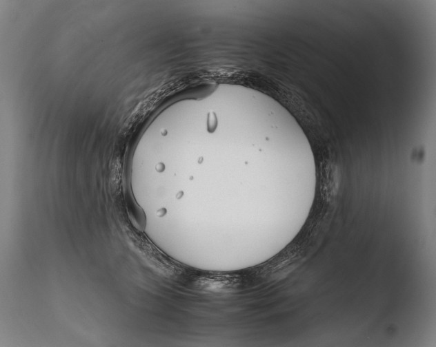 X0000108480563200904241303