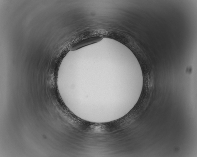X0000108480564200904241303