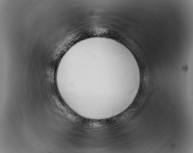 X0000108480565200904241303