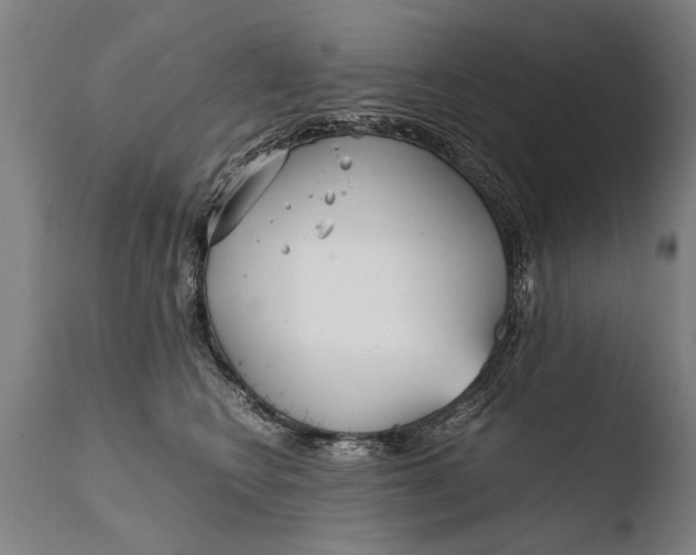 X0000108480566200904241303