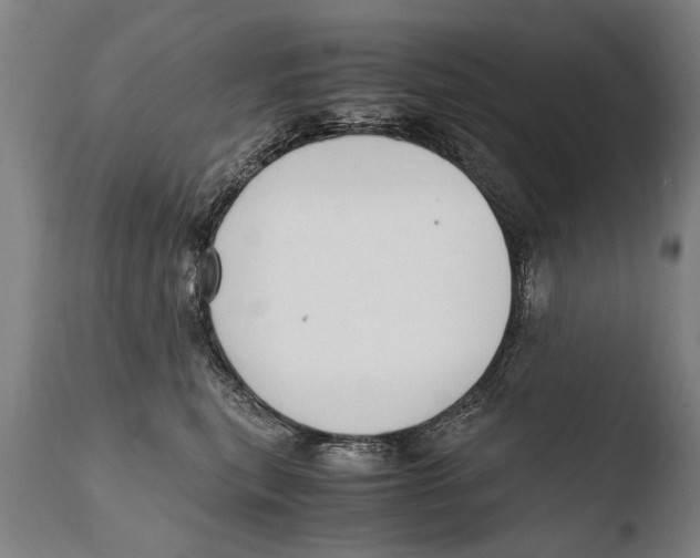 X0000108480567200904241303