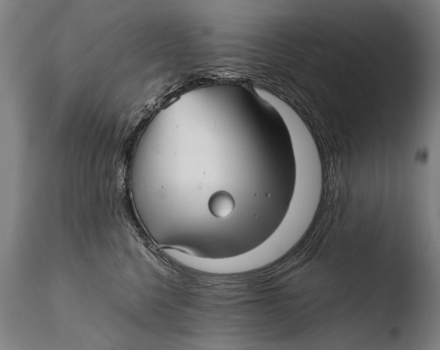 X0000108480568200904241303