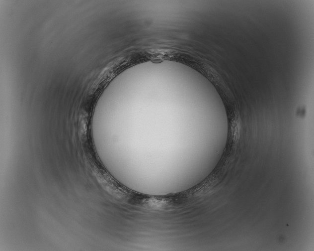 X0000108480570200904241303