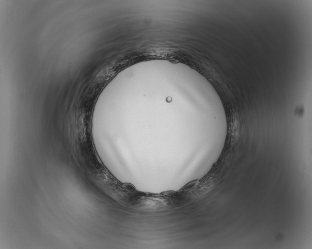 X0000108480572200904241303