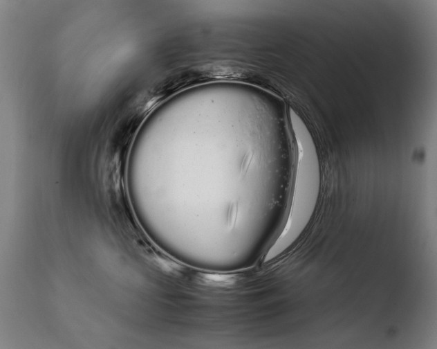 X0000108480573200904241303