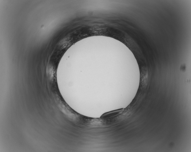 X0000108480574200904241303