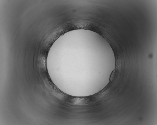 X0000108480575200904241303