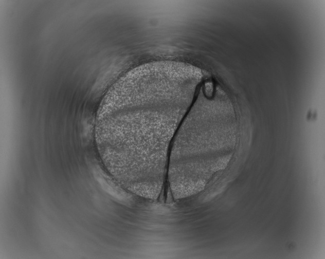 X0000108480576200904241303