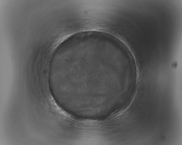 X0000108480577200904241302